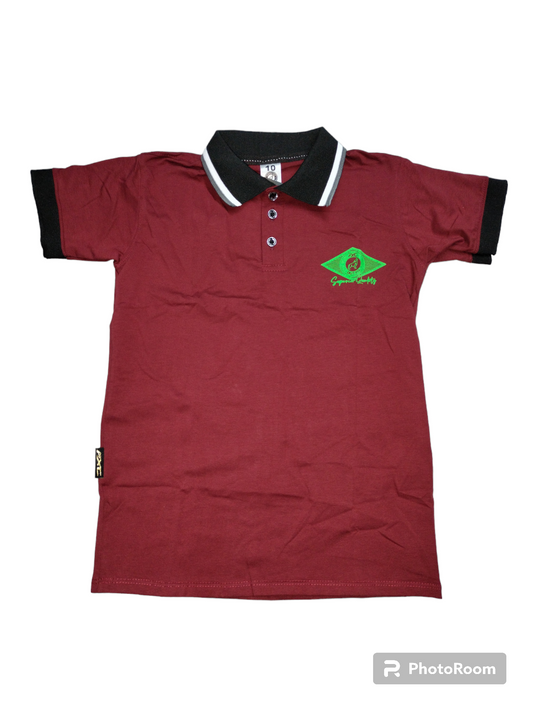 Camiseta Tipo Polo Kids